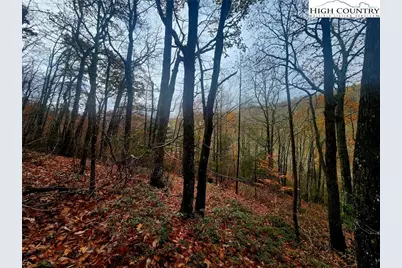 2876 Howards Creek Road, Boone, NC 28607 - Photo 29