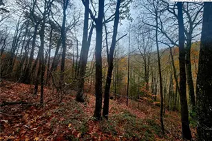 2876 Howard's Creek Rd, Boone, NC 28607 - Photo 29