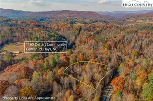 1165 Dehart Community Center Rd, Hays, NC 28635 - Photo 1