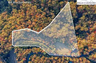 3664 Elk Ridge Rd, Ferguson, NC 28624 - Photo 9