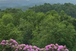 152 Red Tail Summit, Boone, NC 28607 - Photo 13