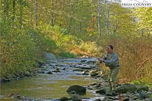 152 Red Tail Summit, Boone, NC 28607 - Photo 33