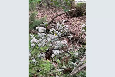 Tbd Big Ivy Rd. & Benge Ashe Rd., Purlear, NC 28665 - Photo 3