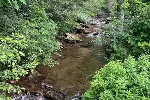 Tbd Big Ivy Rd & Benge Ashe Rd, Purlear, NC 28665 - Photo 1