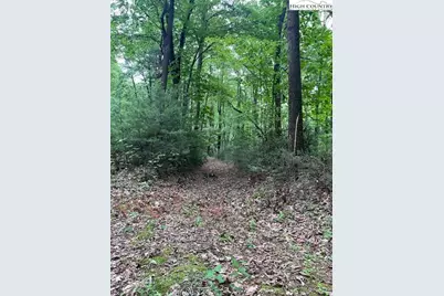 Tbd Big Ivy Rd. & Benge Ashe Rd., Purlear, NC 28665 - Photo 5