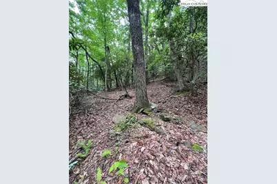 Tbd Big Ivy Rd. & Benge Ashe Rd., Purlear, NC 28665 - Photo 9