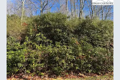 Tbd Lot #19 Ridgecrest Circle, Beech Mountain, NC 28604 - Photo 11