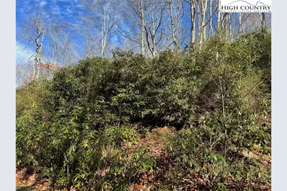 Tbd Lot #19 Ridgecrest Circle, Beech Mountain, NC 28604 - Photo 13