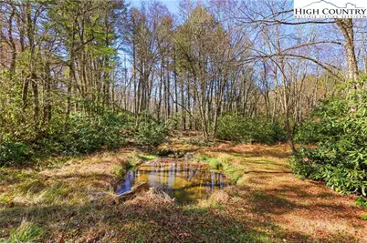 178 Brook Lane, Boone, NC 28607 - Photo 45