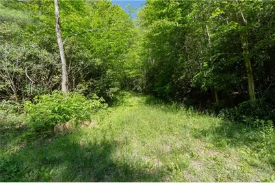 Tbd Black Bear Trail, Blowing Rock, NC 28605 - Photo 3