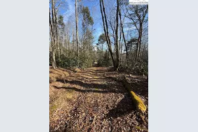 Tbd Black Bear Trail, Blowing Rock, NC 28605 - Photo 3