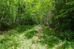 Tbd Black Bear Trail, Blowing Rock, NC 28605 - Photo 1