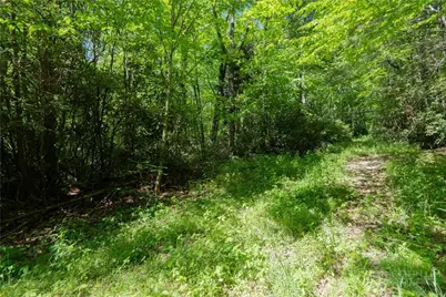 Tbd Black Bear Trail, Blowing Rock, NC 28605 - Photo 3