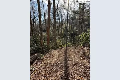 Tbd Black Bear Trail, Blowing Rock, NC 28605 - Photo 5