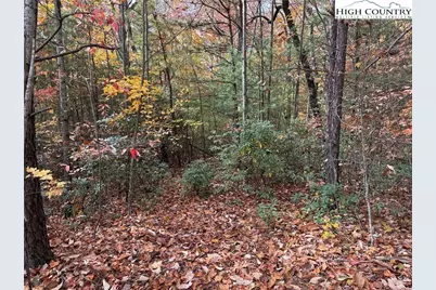 Lot 209 Casey Mountain Road, Purlear, NC 28665 - Photo 7