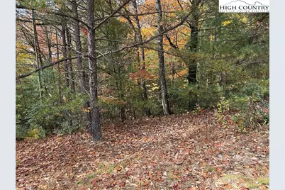 Lot 209 Casey Mountain Road, Purlear, NC 28665 - Photo 5