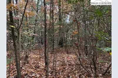 Lot 209 Casey Mountain Road, Purlear, NC 28665 - Photo 3
