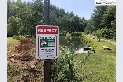 Lot 209 Casey Mountain Road, Purlear, NC 28665 - Photo 27