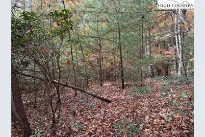 Lot 209 Casey Mountain Road, Purlear, NC 28665 - Photo 7