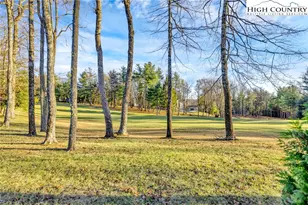 163 Laurel Br Ct, Roaring Gap, NC 28668 - Photo 33