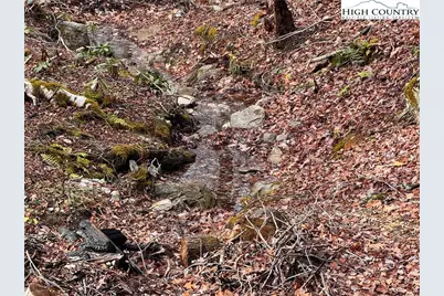 Lots 37 and 38 Snow Ridge Road, Banner Elk, NC 28604 - Photo 3