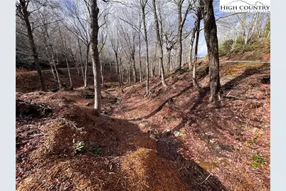 Lots 37 and 38 Snow Ridge Road, Banner Elk, NC 28604 - Photo 3
