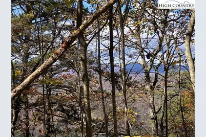 Lot 96 Buck Mountain Road, Purlear, NC 28665 - Photo 15