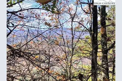 Lot 96 Buck Mountain Road, Purlear, NC 28665 - Photo 13