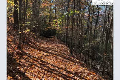 Lot 96 Buck Mountain Road, Purlear, NC 28665 - Photo 3
