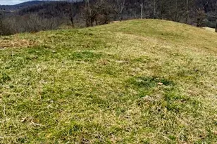 7874 Flat Ridge Rd, Troutdale, VA 24378 - Photo 35