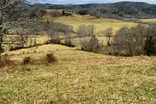 7874 Flat Ridge Rd, Troutdale, VA 24378 - Photo 3