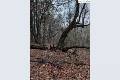 574 Three Creeks Lane, Sparta, NC 28675 - Photo 15