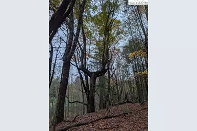 574 Three Creeks Lane, Sparta, NC 28675 - Photo 13