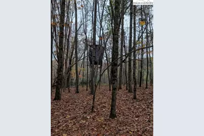 574 Three Creeks Lane, Sparta, NC 28675 - Photo 21