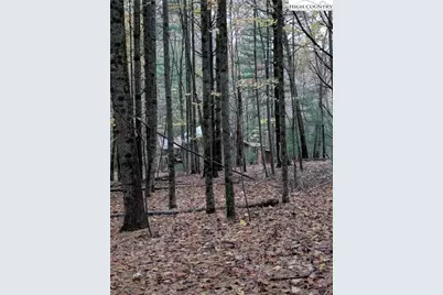 574 Three Creeks Lane, Sparta, NC 28675 - Photo 27