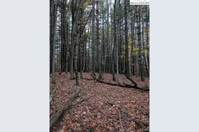 574 Three Creeks Lane, Sparta, NC 28675 - Photo 17