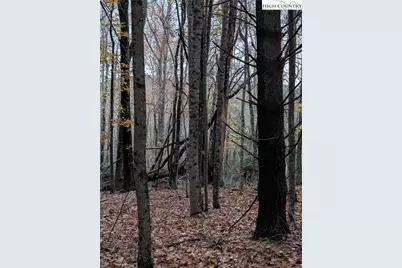 574 Three Creeks Lane, Sparta, NC 28675 - Photo 23