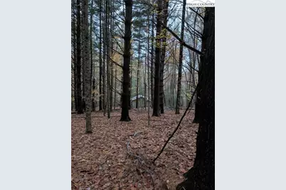 574 Three Creeks Lane, Sparta, NC 28675 - Photo 25