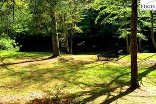 56 Buttons Ln, Sparta, NC 28675 - Photo 39