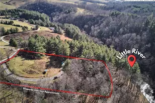 56 Buttons Ln, Sparta, NC 28675 - Photo 3