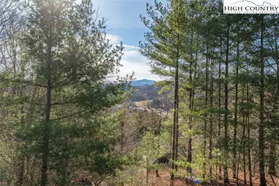 419 Billy Billings Road, Vilas, NC 28692 - Photo 43