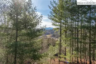 419 Billy Billings Rd, Vilas, NC 28692 - Photo 43