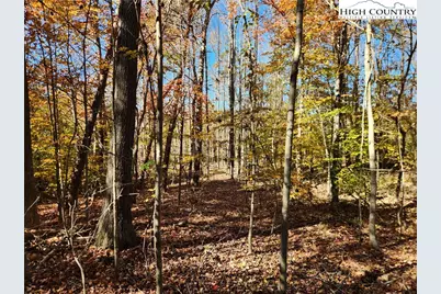 701 Moravian Falls Road, Wilkesboro, NC 28697 - Photo 27