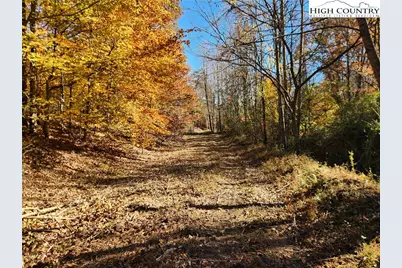 701 Moravian Falls Road, Wilkesboro, NC 28697 - Photo 3