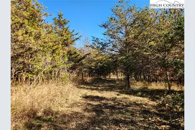 701 Moravian Falls Road, Wilkesboro, NC 28697 - Photo 21