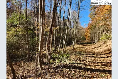 701 Moravian Falls Road, Wilkesboro, NC 28697 - Photo 19