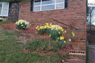 308 Hickory Mountain Rd, Sparta, NC 28675 - Photo 25