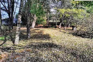 231 Gap Creek, Fleetwood, NC 28626 - Photo 11