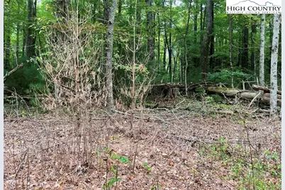 Tbd Oak Tree Lane, Jefferson, NC 27640 - Photo 1