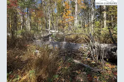 Tbd Oak Tree Lane, Jefferson, NC 27640 - Photo 5